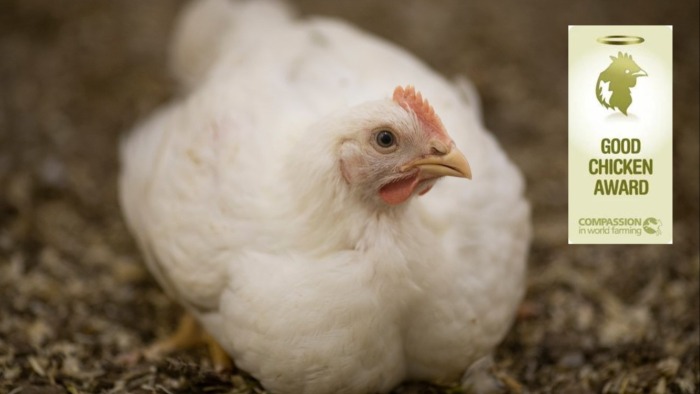 Norsk Kylling vinner prisen Good Chicken Award.