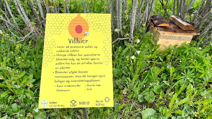 Pollinatorsti