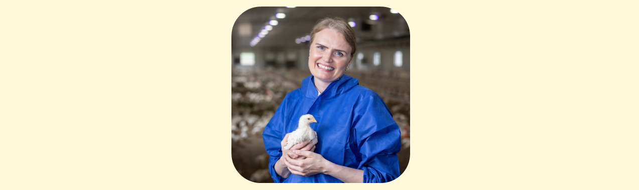 Norske forbrukere mener at Solvinge er Norges mest bærekraftige merkevare for kylling