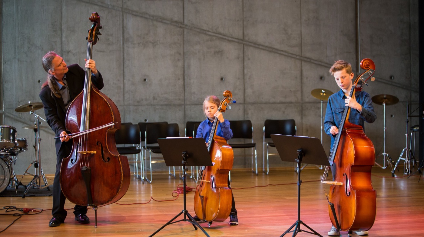 Stryk/Harpe