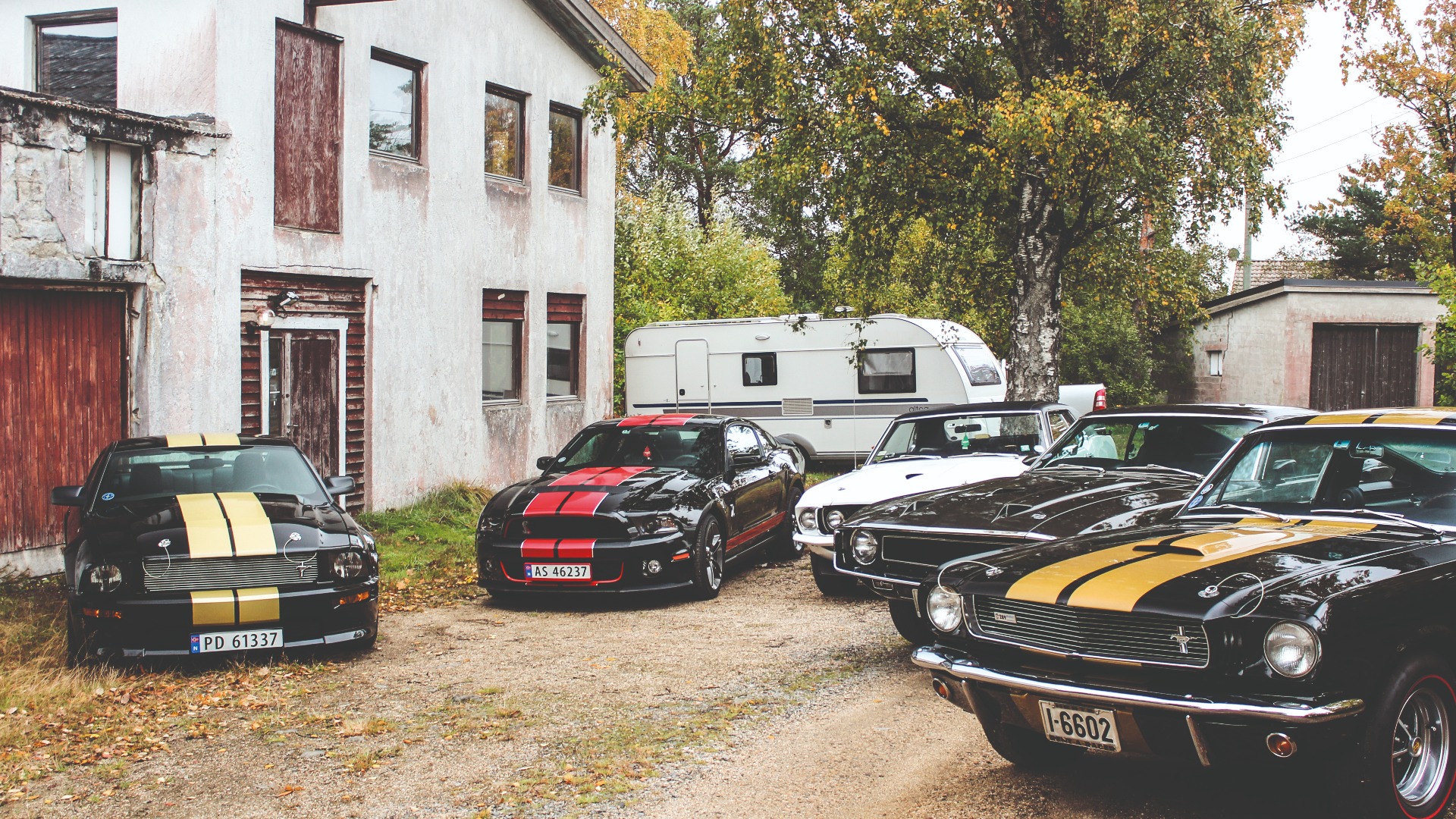 Kong Shelby og hans utrolige samling.