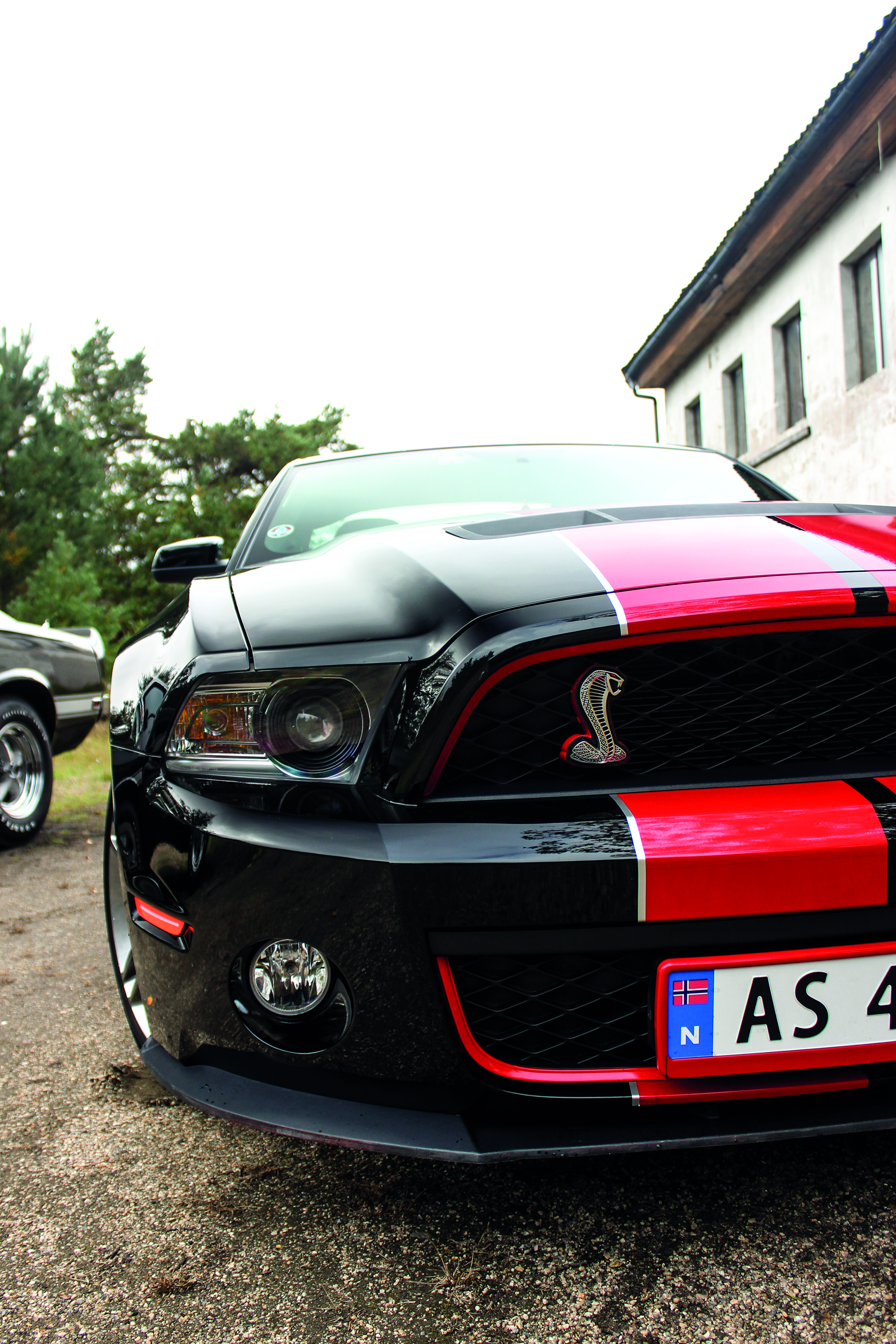 Kong Shelby og hans utrolige samling