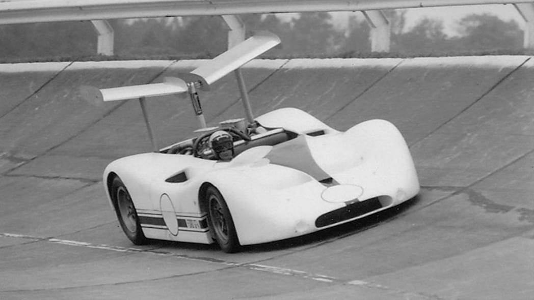 Her ser man tydelig den todelte vingen.