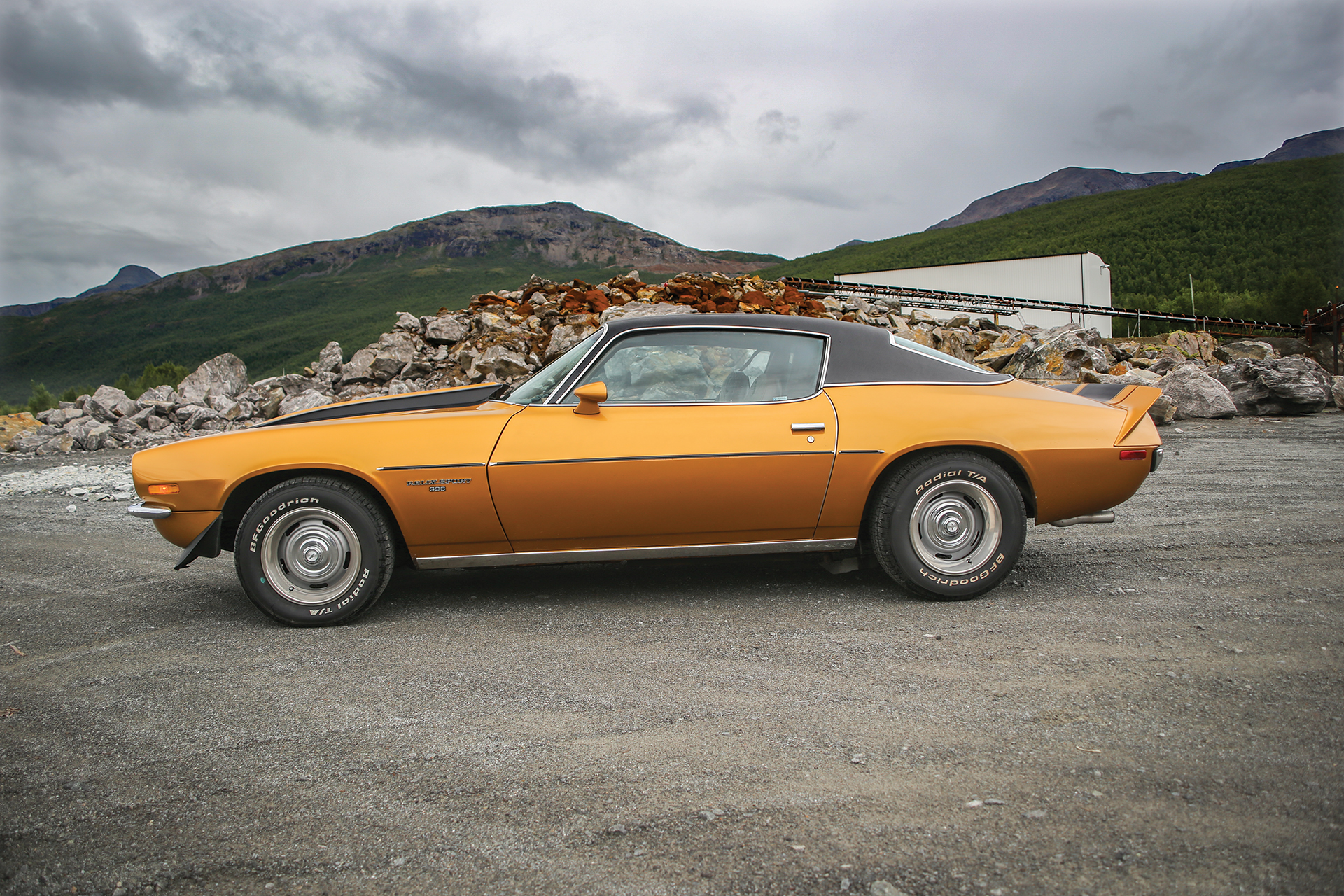 Sideprofilen er umiskjennelig.