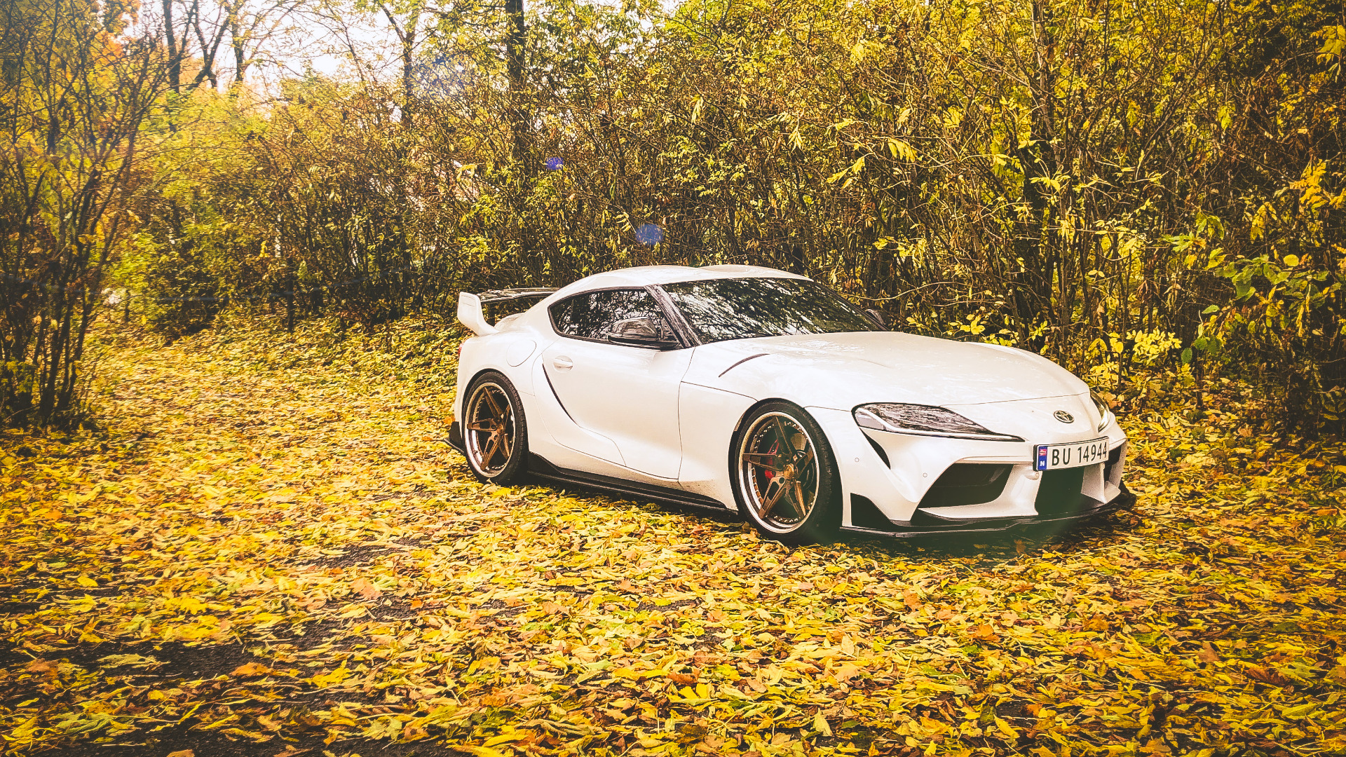 Den hvite lakken stikker seg fint ut i høstfargene