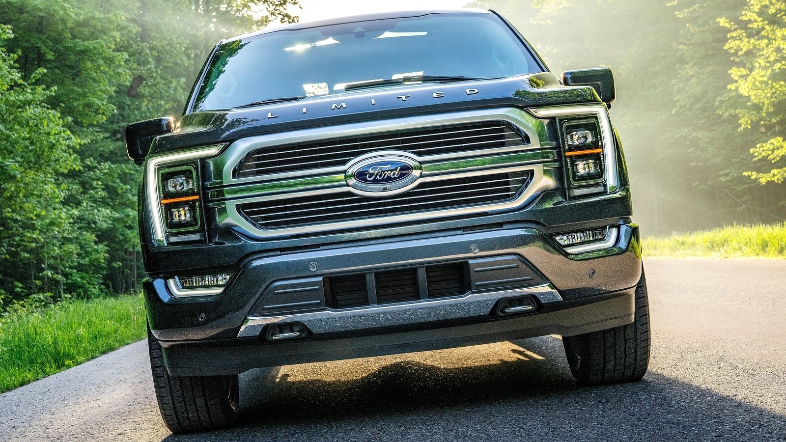 Ford gikk tom for sin egen logo – måtte utsette levering av nye biler