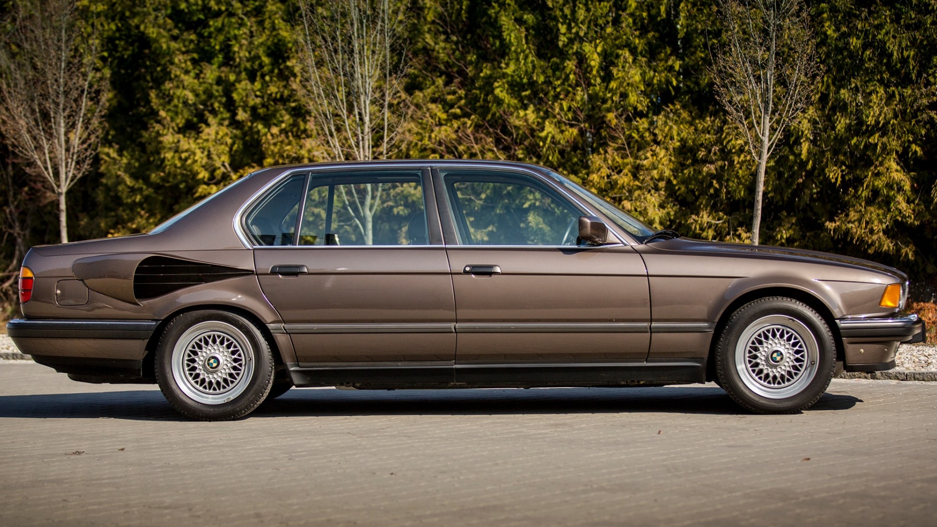 Den brune Goldfisch har vært vist mange ganger opp gjennom årene