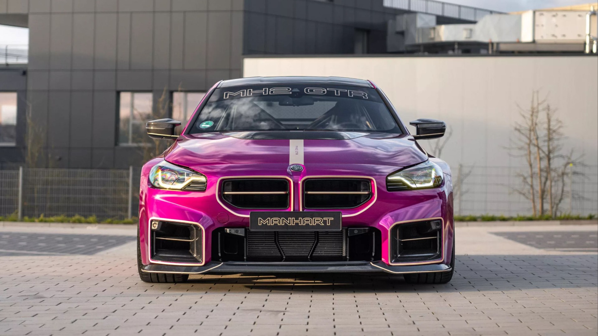 Fangere i karbon og deilige champagne-fargede striper rundt gjellene.