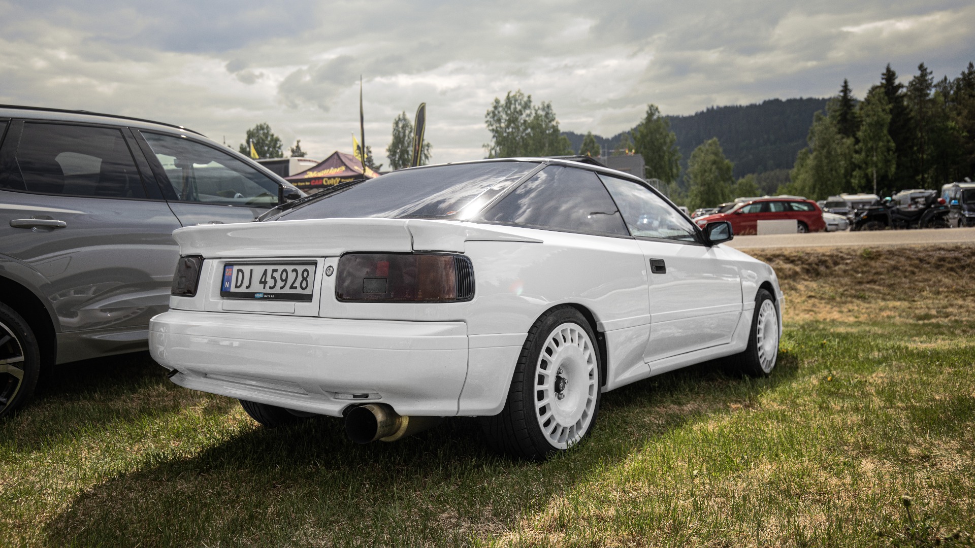 Kritthvit Celica er et friskt pust