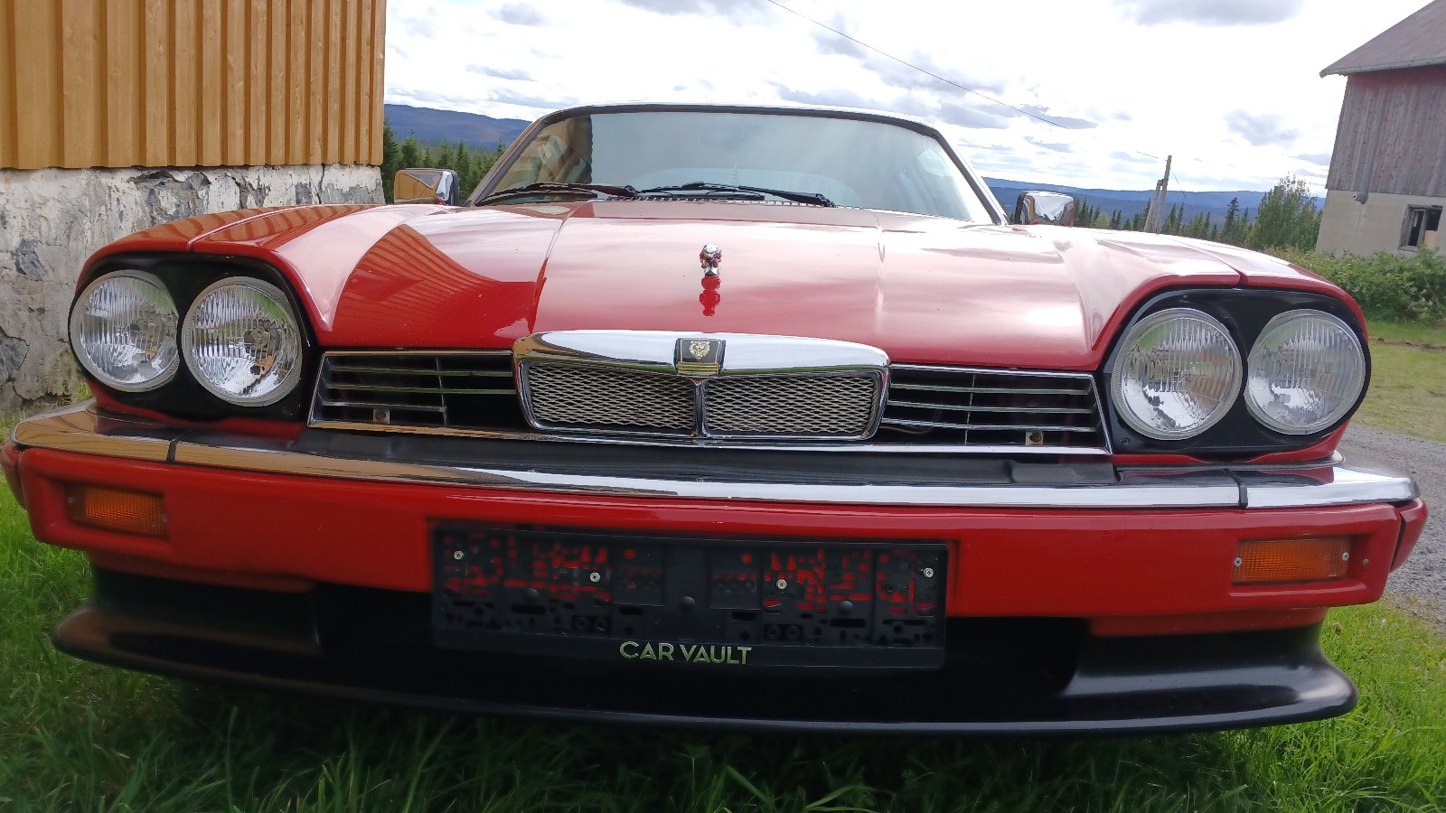 1985 Jaguar XJS V12 HE GOLDEN JUBILEE EDITION, by Guy Salmon