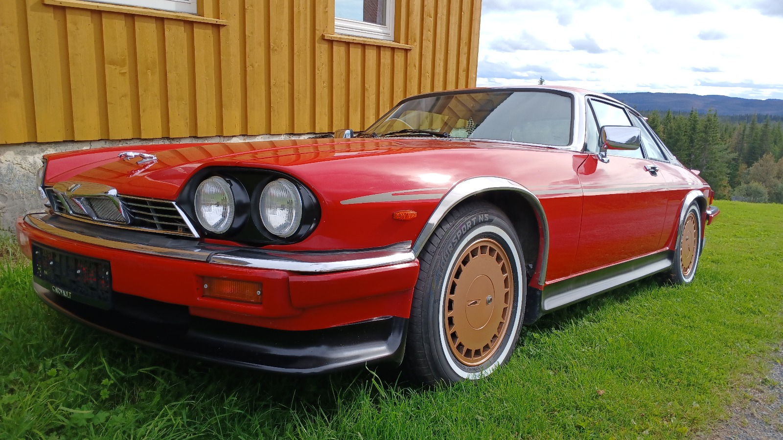 1985 Jaguar XJS V12 HE GOLDEN JUBILEE EDITION, by Guy Salmon