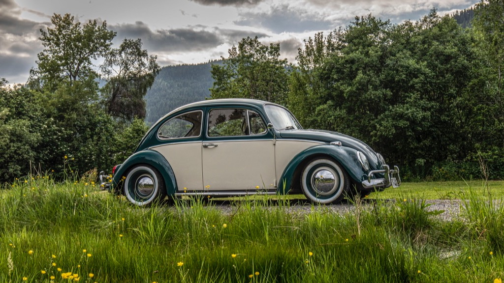 1965 Volkswagen Boble 