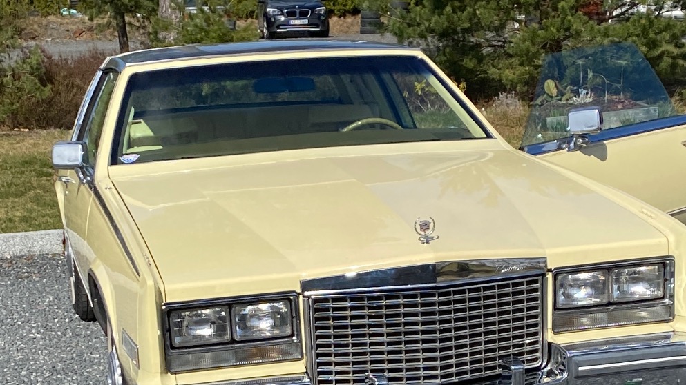 1979 Cadillac Eldorado Biarritz