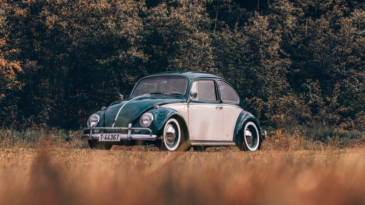 1965 Volkswagen Boble