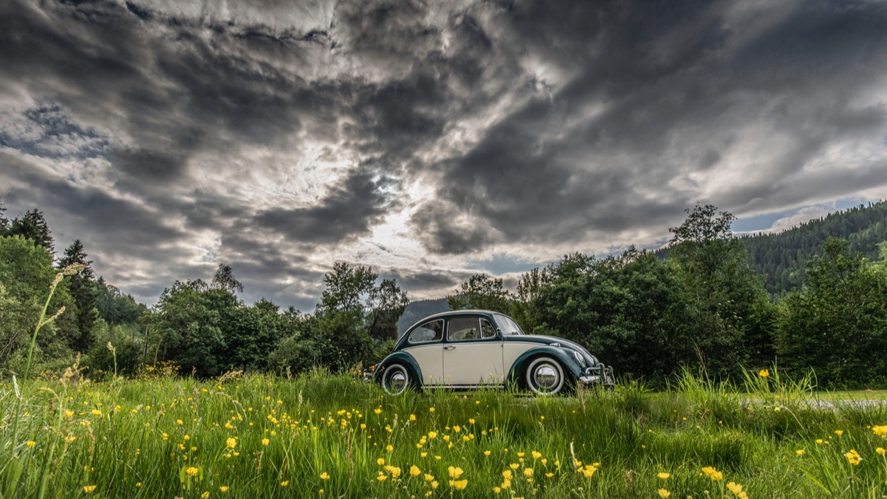 1965 Volkswagen Boble 