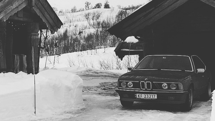1980 BMW 6-serie 635 CSI (M106)