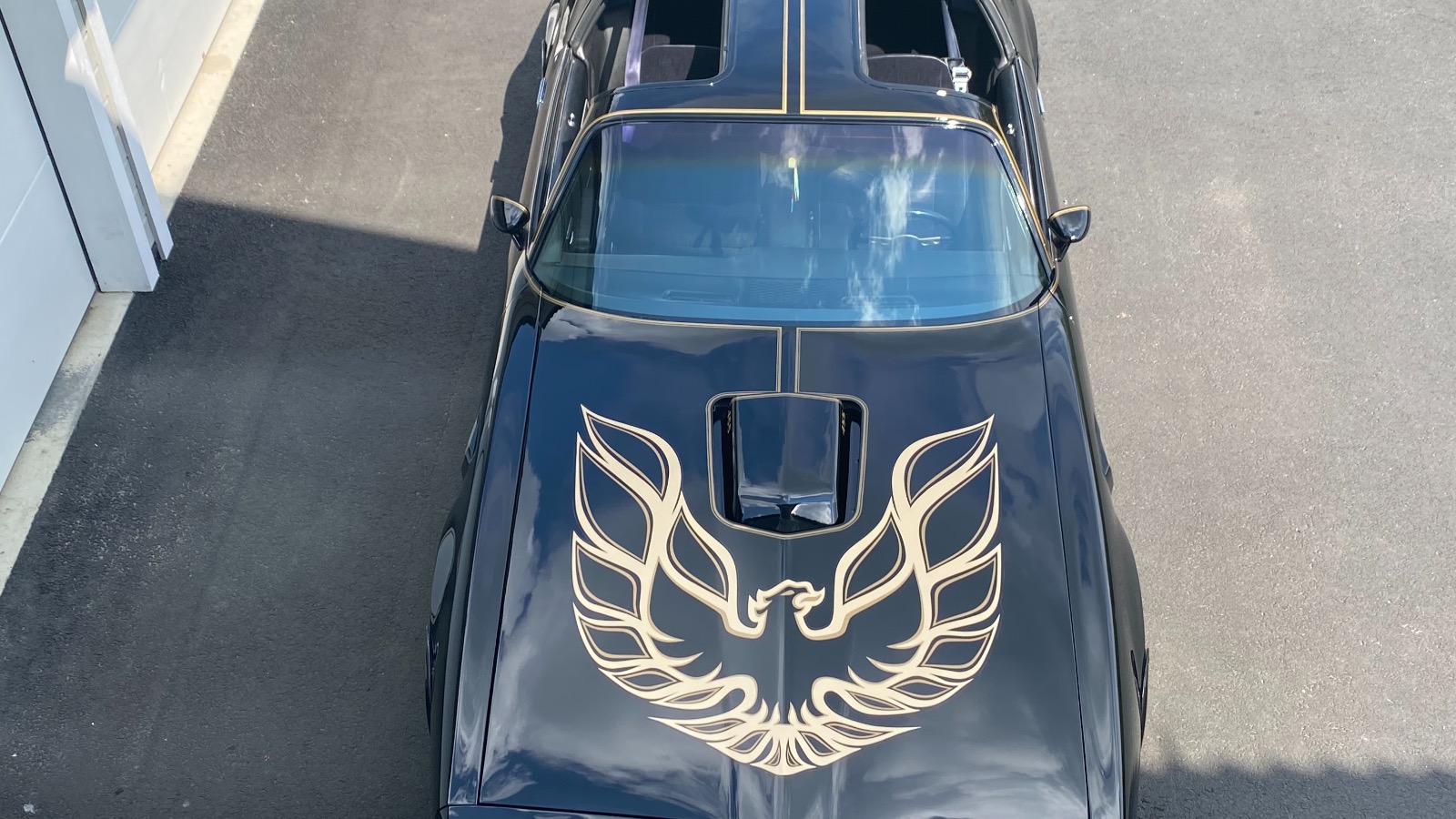 1978 Pontiac Firebird Trans Am