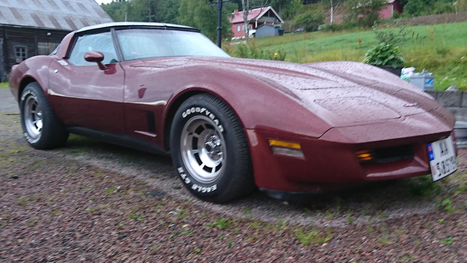 1981 Chevrolet Corvette