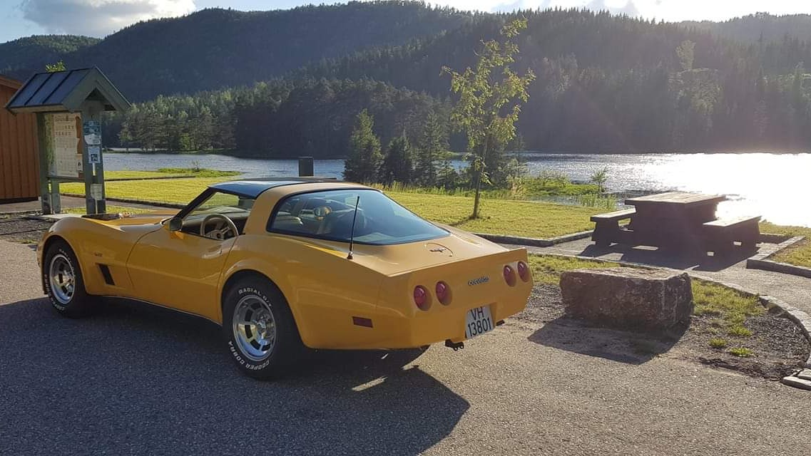 1980 Chevrolet Corvette