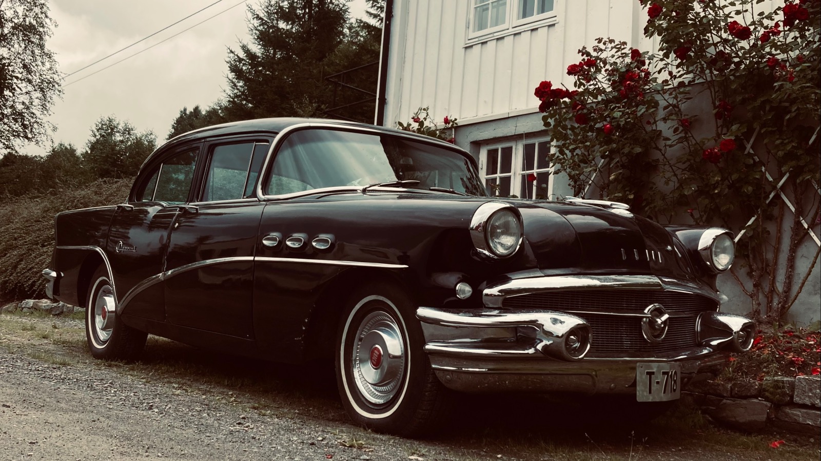 1956 Buick Special 