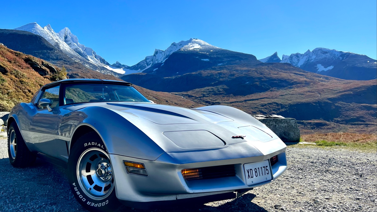 1981 Chevrolet Corvette 350 cid