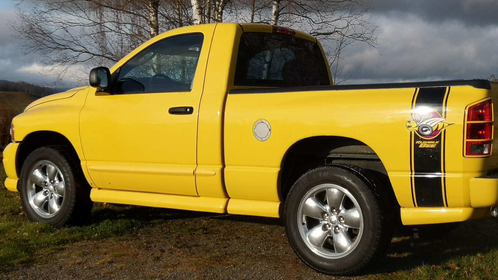 2005 Dodge RAM 1500 Rumble Bee