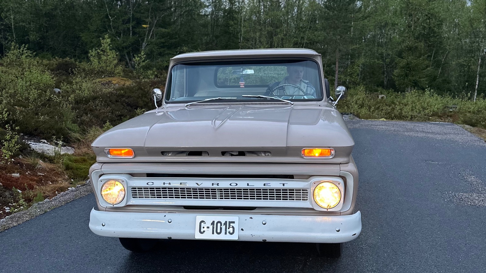 1965 Chevrolet C10 