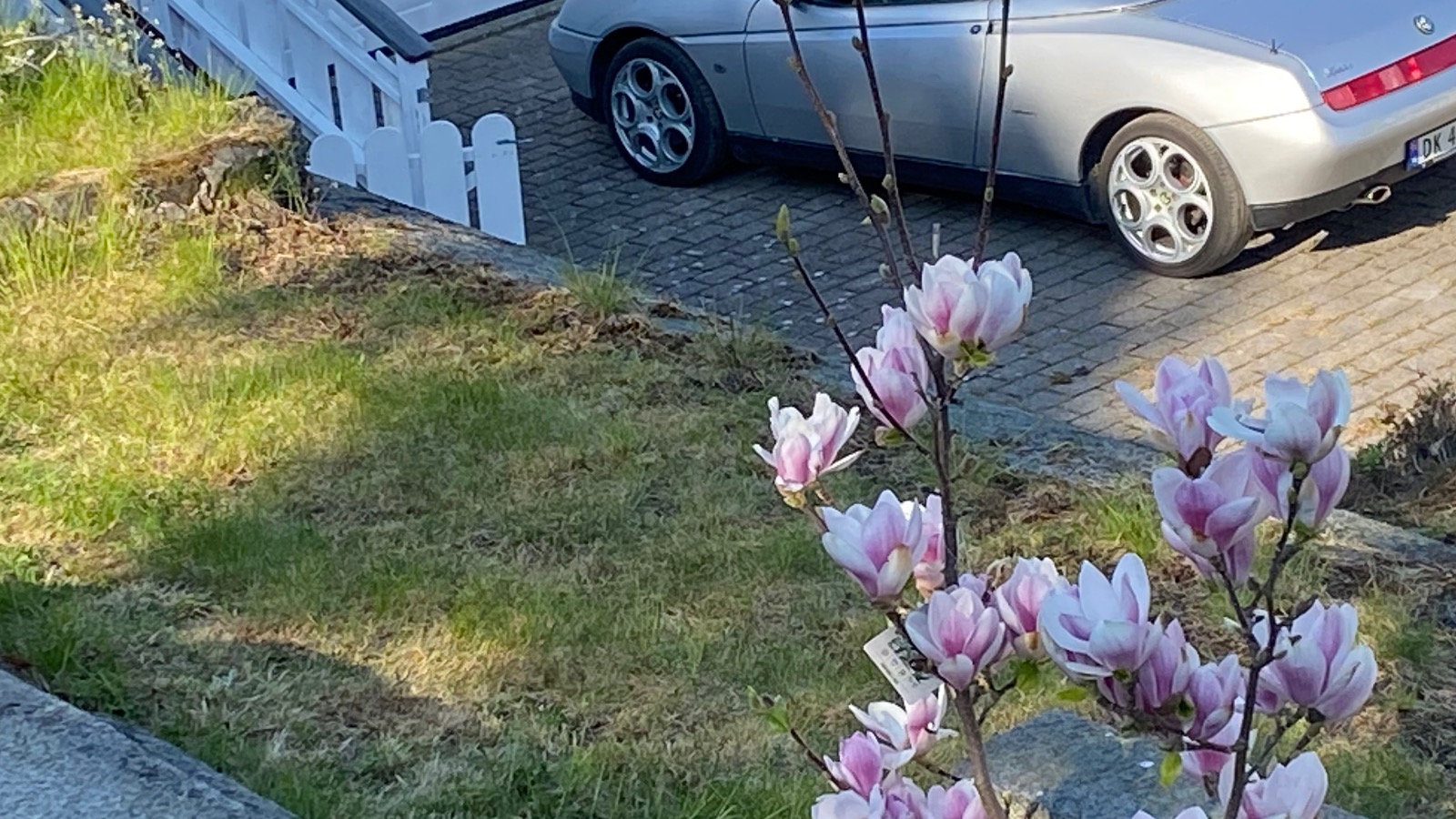 1996 Alfa Romeo 116 Spider