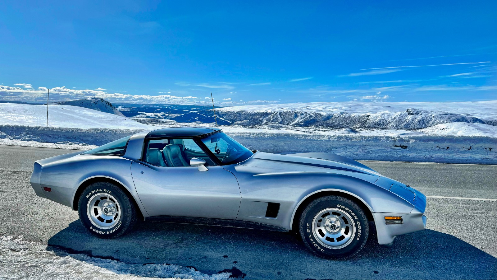 1981 Chevrolet Corvette 350 cid