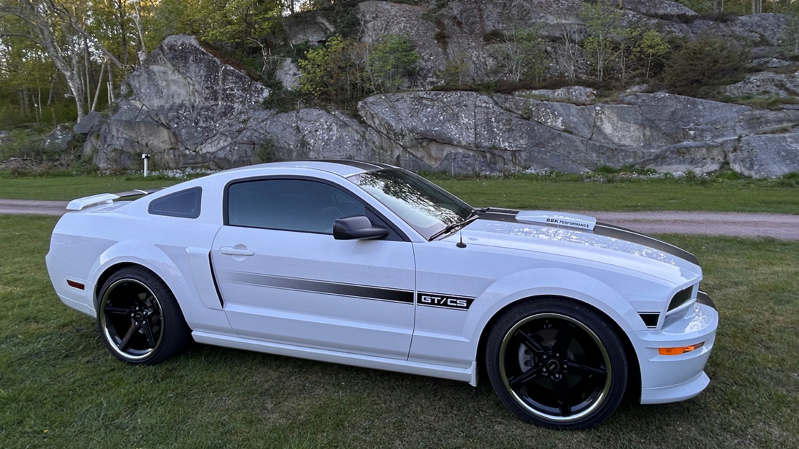 2007 Ford Mustang Gt/cs