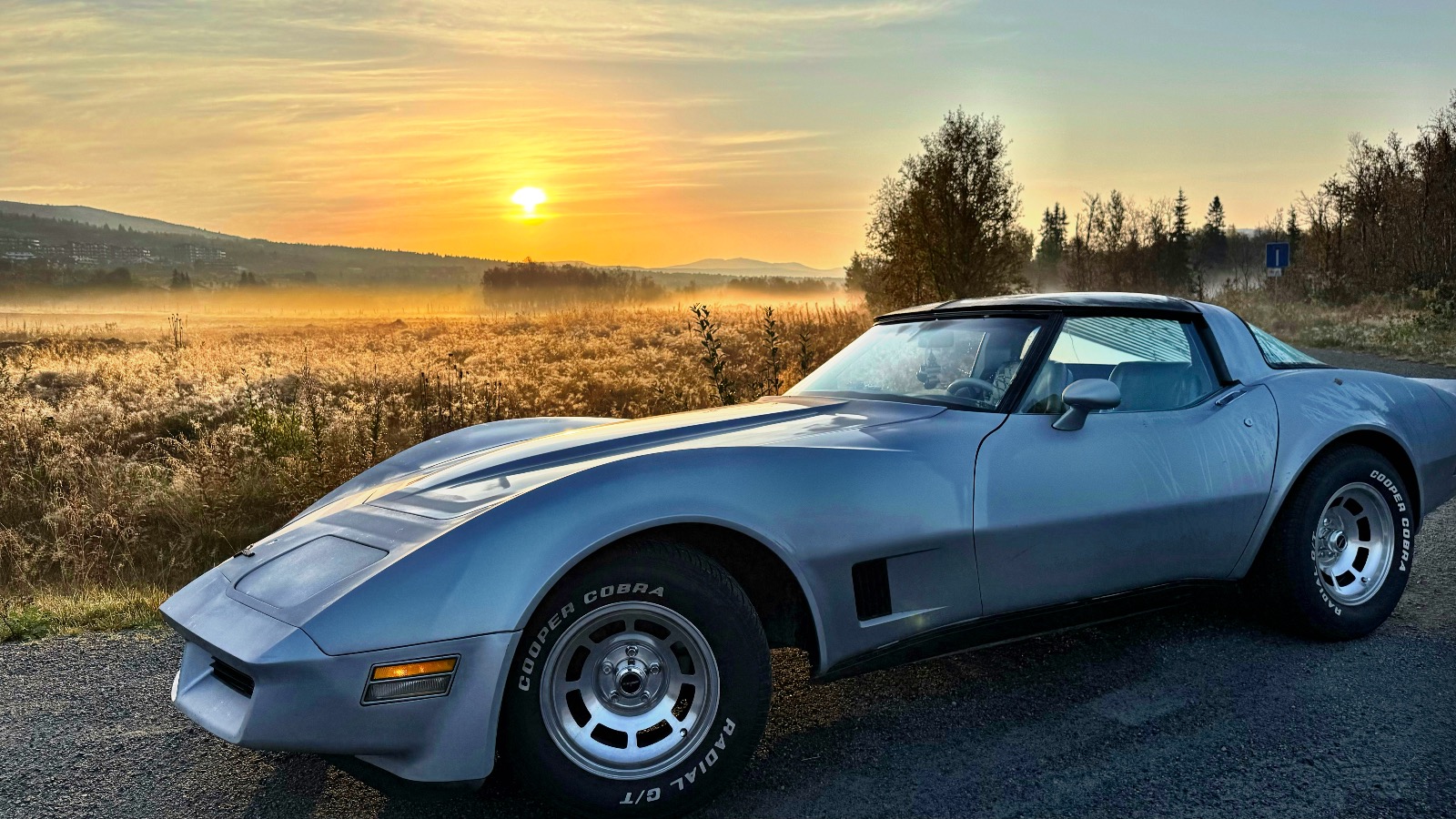 1981 Chevrolet Corvette 350 cid