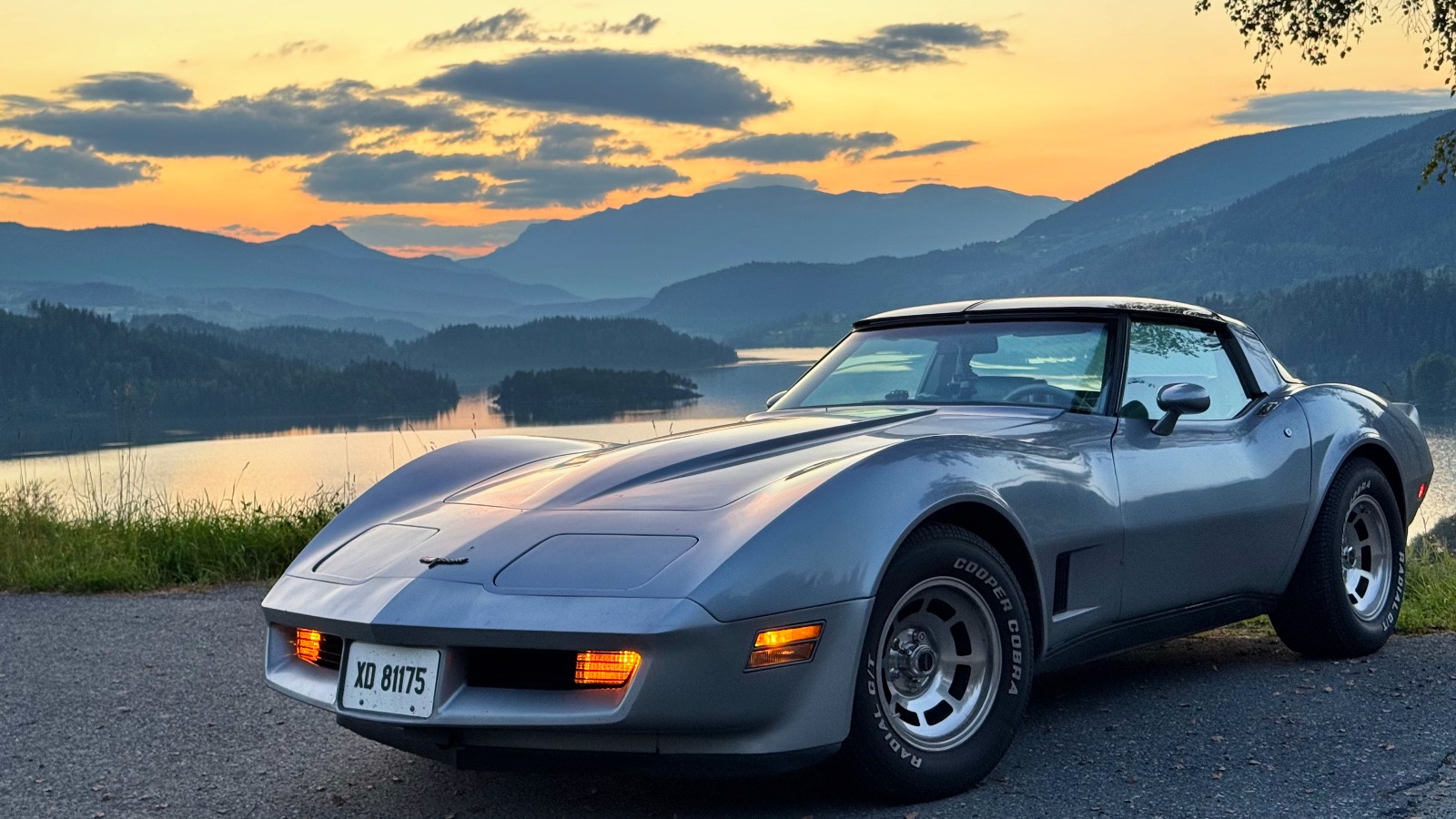 1981 Chevrolet Corvette 350 cid