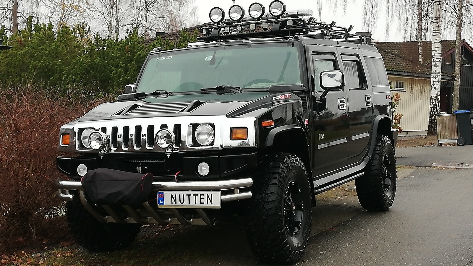 Hummer