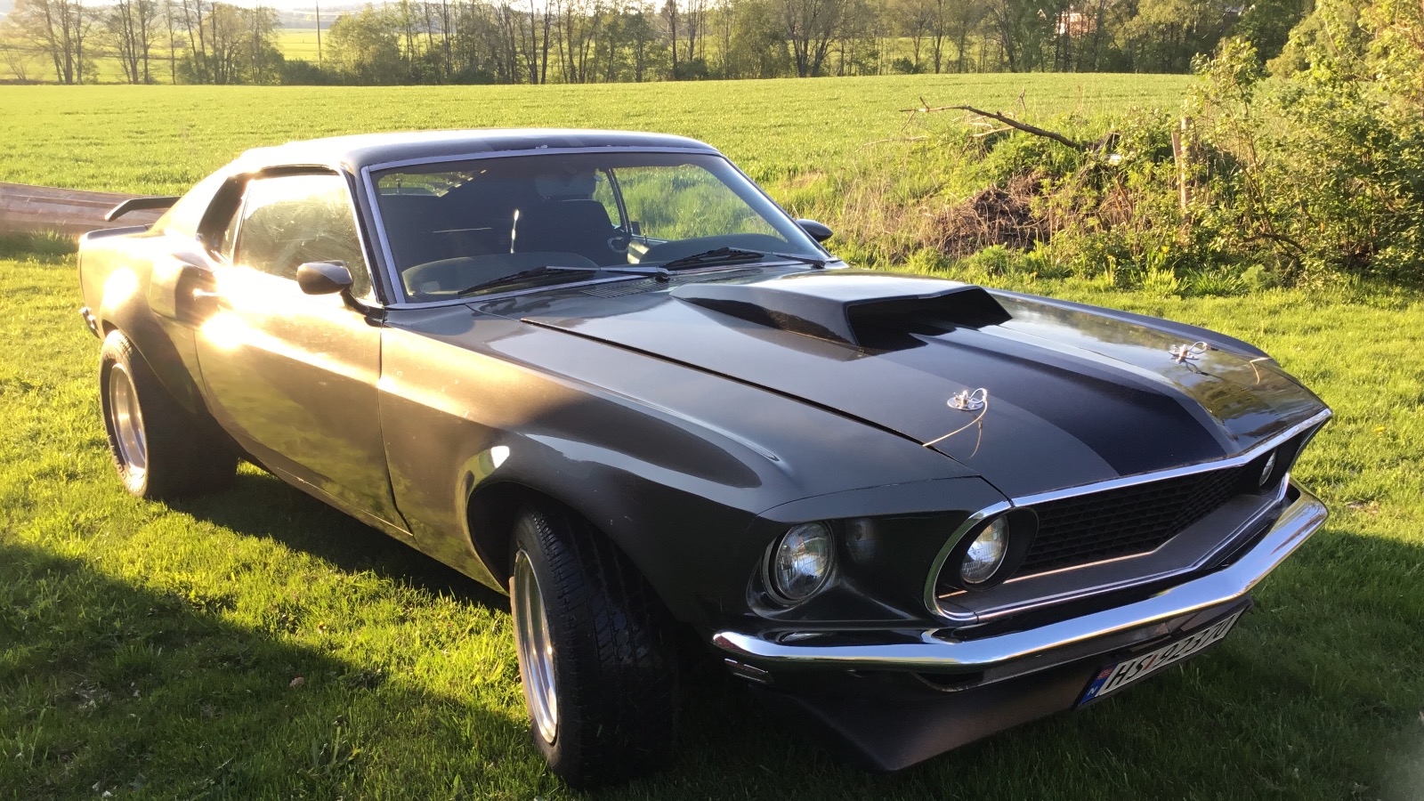 1969 Ford Mustang Fastback Mach1 Fastback