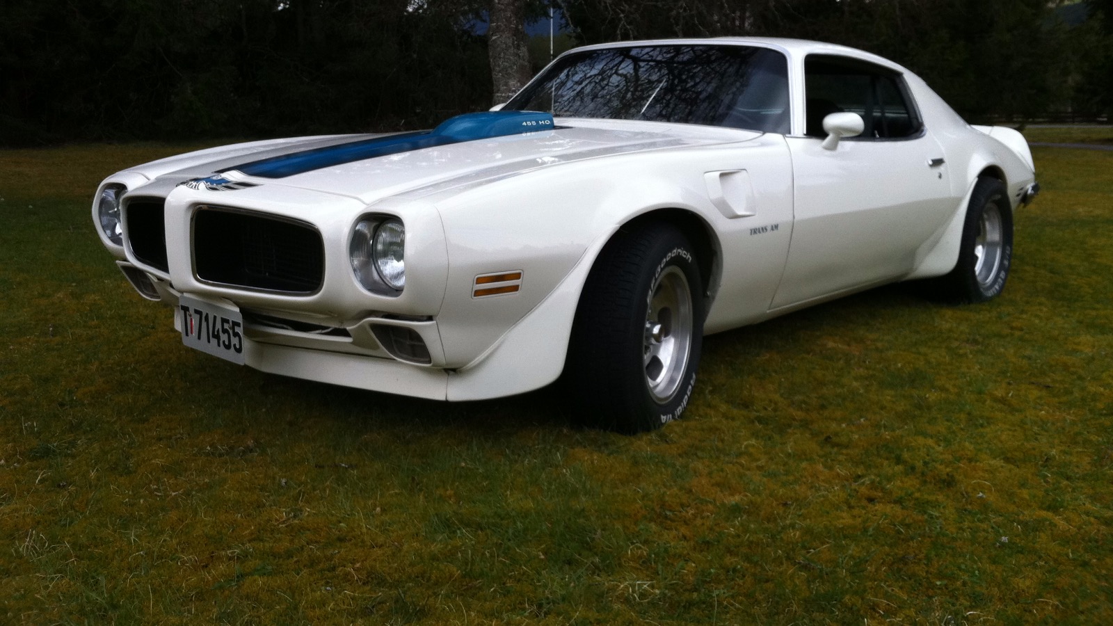 1971 Pontiac firebird