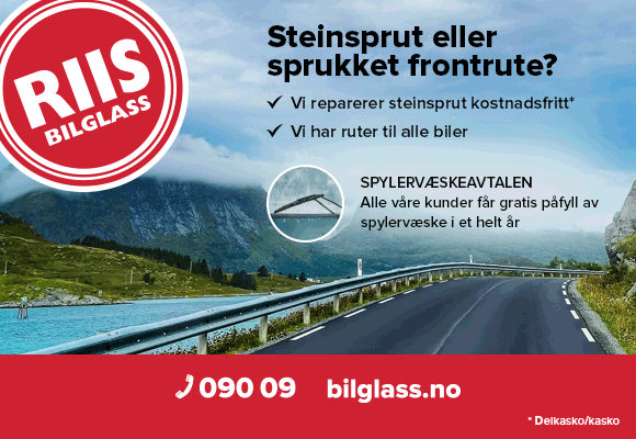 Riis Bilglass