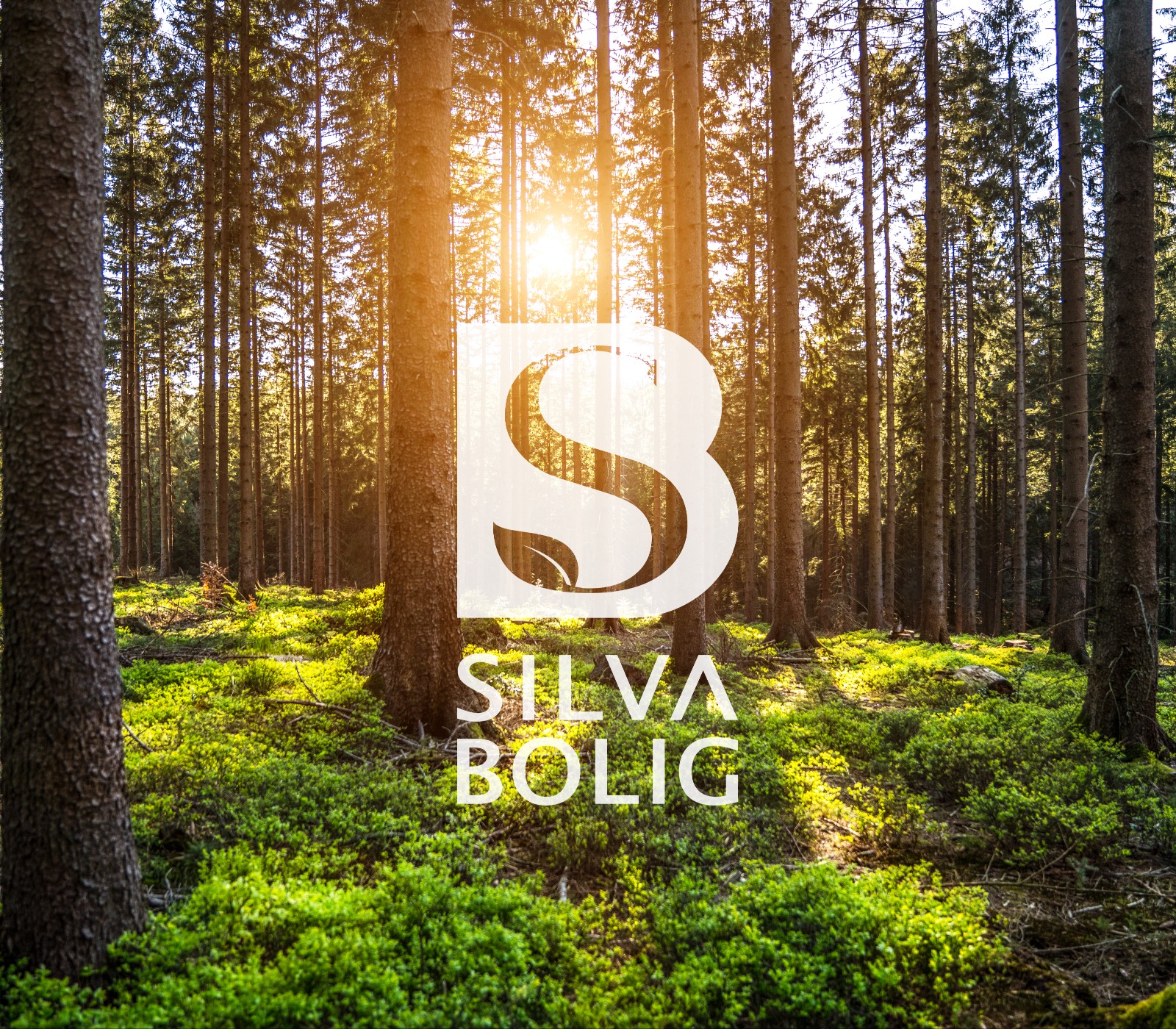 Velkommen til oss i Silva Bolig