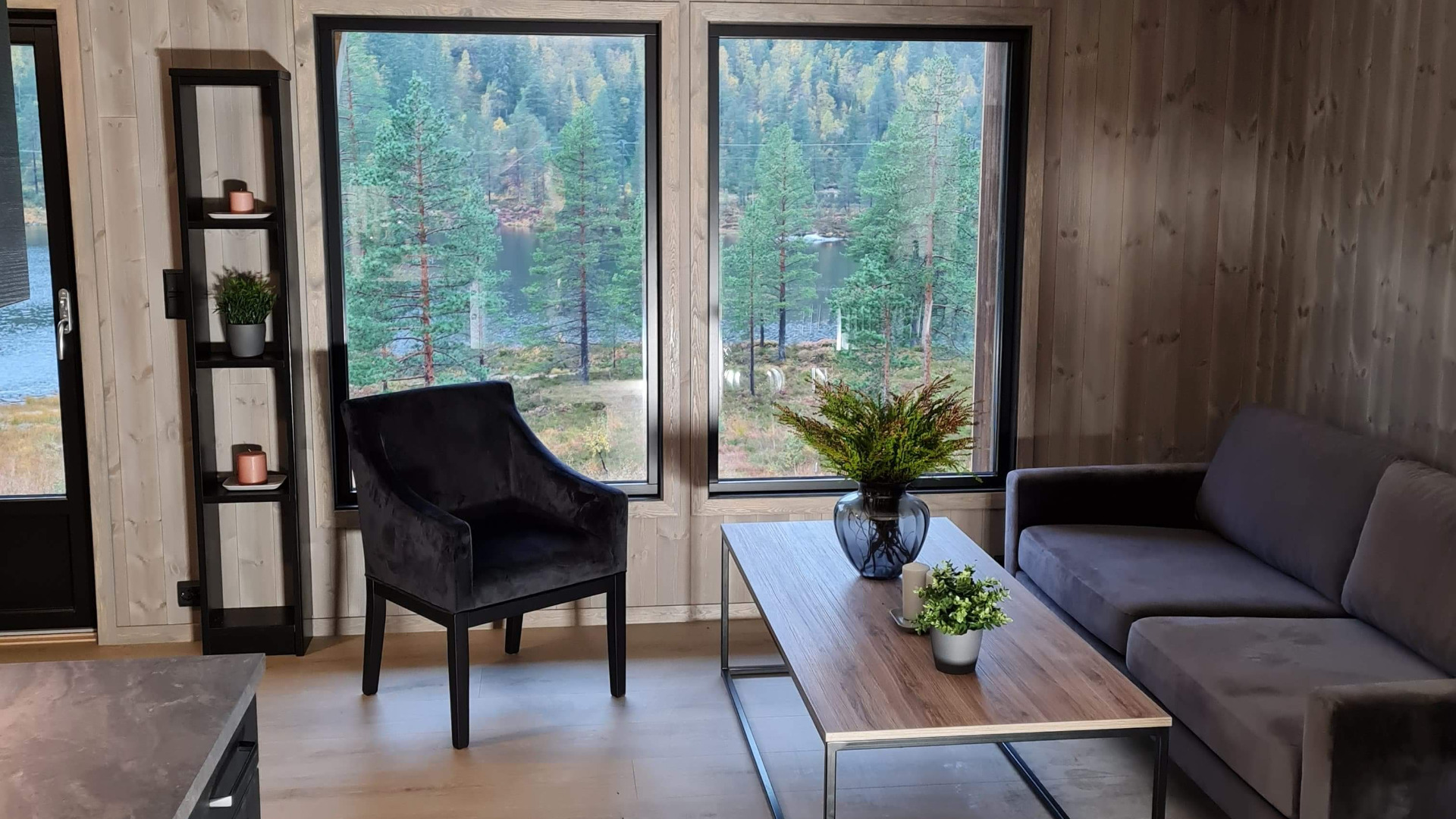 Stue, utsikt, oppgradert hytte, Bortelid